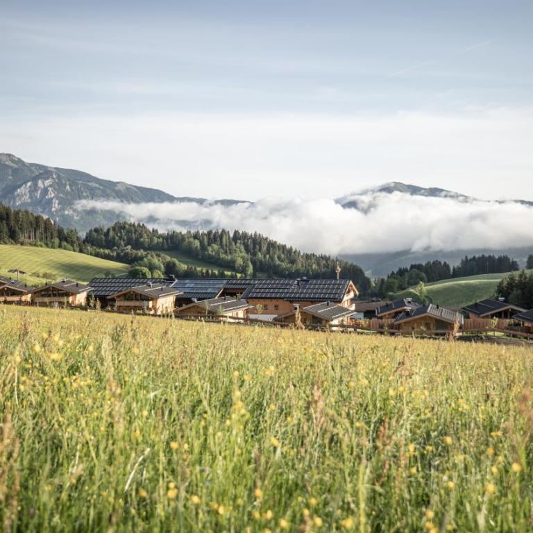 Hygna Chalets - Chalet mit 1 Schlafzimmer - 11