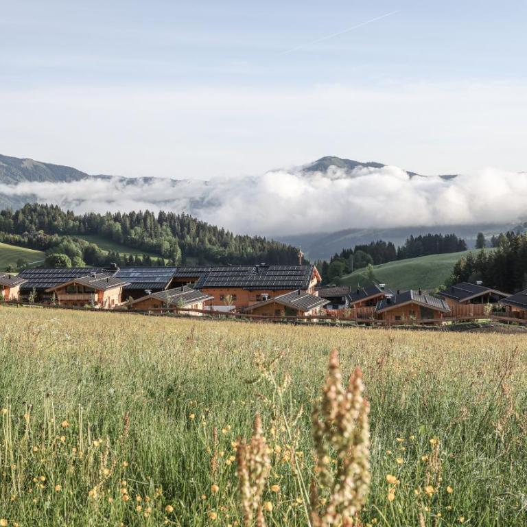 Hygna Chalets - Chalet mit 1 Schlafzimmer - 19