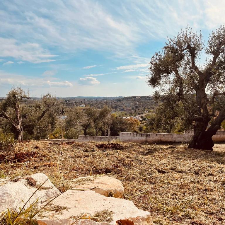 Trullo Philemon - Casa con 2 Camere da Letto - 5