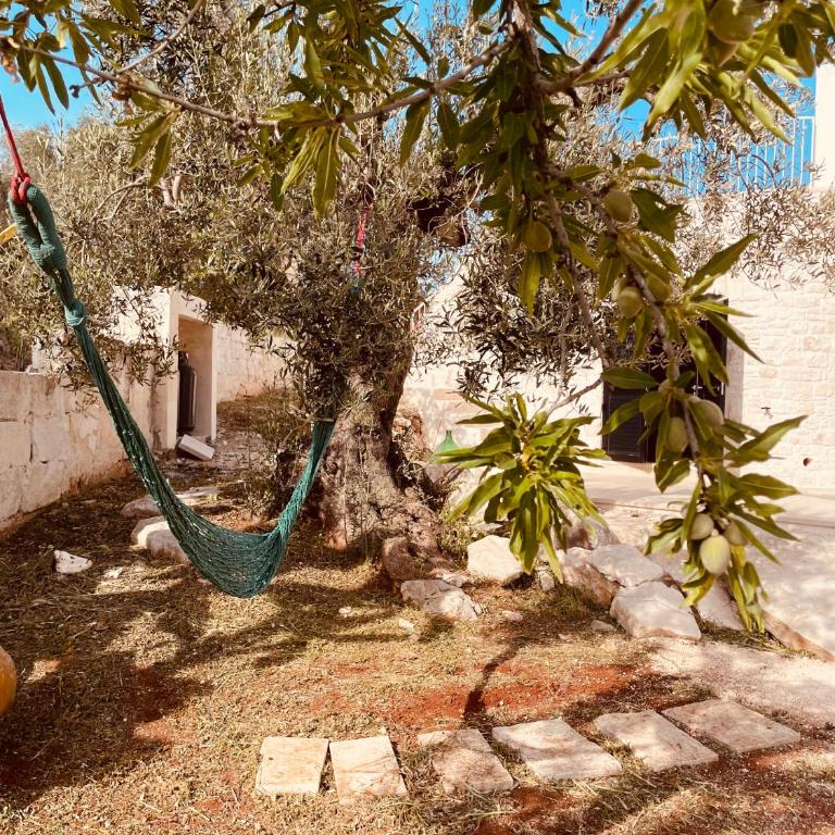 Trullo Philemon - Casa con 2 Camere da Letto - 3