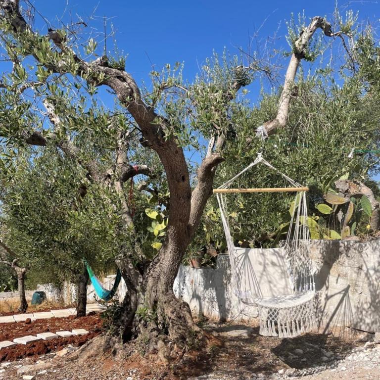 Trullo Philemon - Casa con 2 Camere da Letto - 8