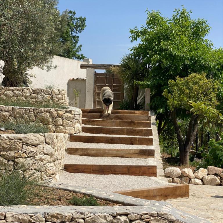 Le Domaine VDH à Saint-Paul de Vence - Villa avec Piscine Privée - 36
