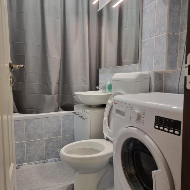 Birchwood place - One-Bedroom Apartment - 4