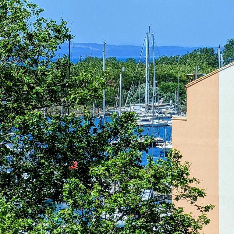 Appartement proche port et mer avec wifi et climatisation - Studio Supérieur - 29