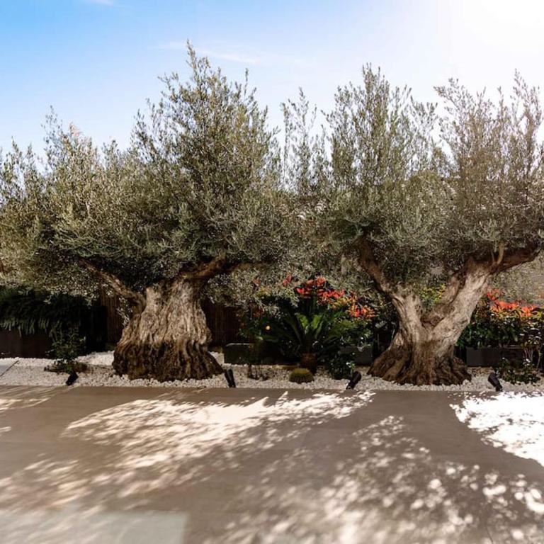 SPA LUXURY VILLA ***** - Villa - 84