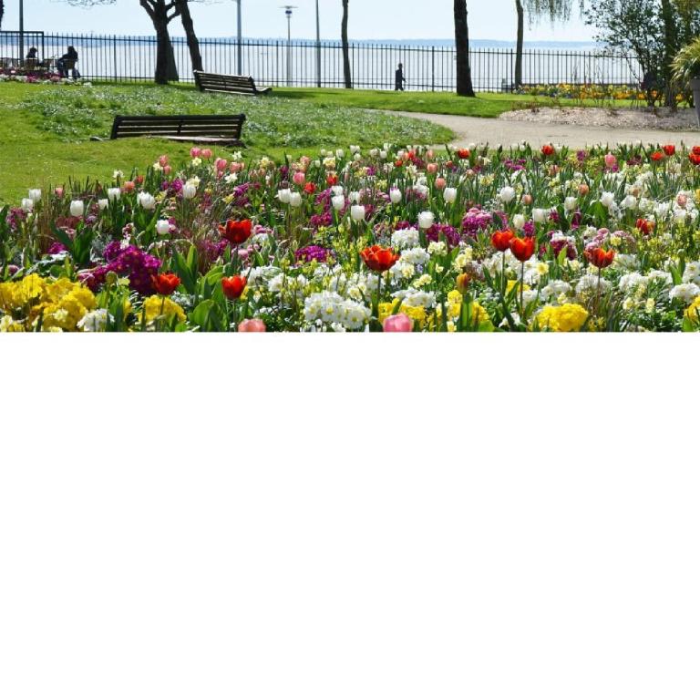 Beau T3 - 6 couchages proche bord de mer & centre ville avec wifi fibre - Appartement 2 Chambres - 30