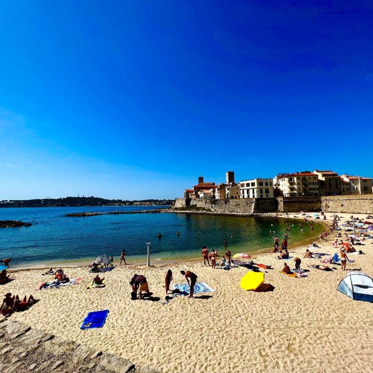 Appartement tout neuf vieil Antibes - Appartement 1 Chambre - 3