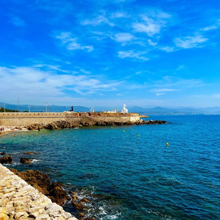 Appartement tout neuf vieil Antibes - Appartement 1 Chambre - 7