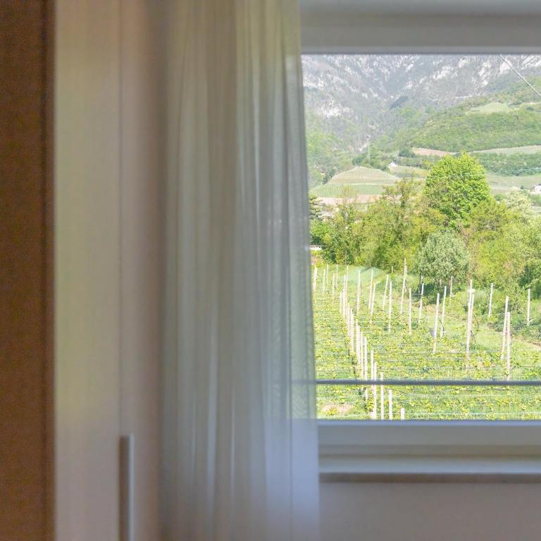 Sandhof Ferienwohnungen - Appartamento con Vista Montagna - 6
