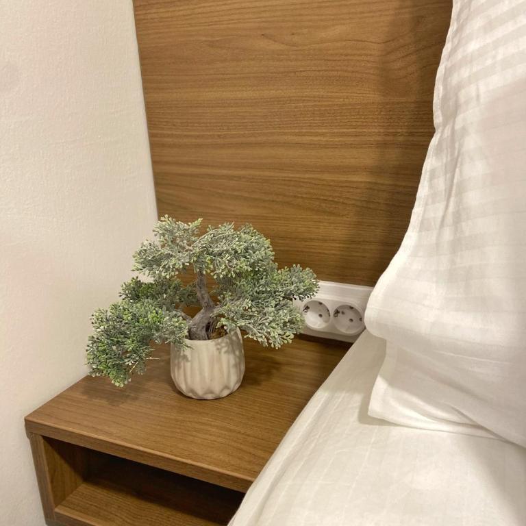 Apartman Orjen Centar - Apartman sa 1 Spavaćom Sobom - 14