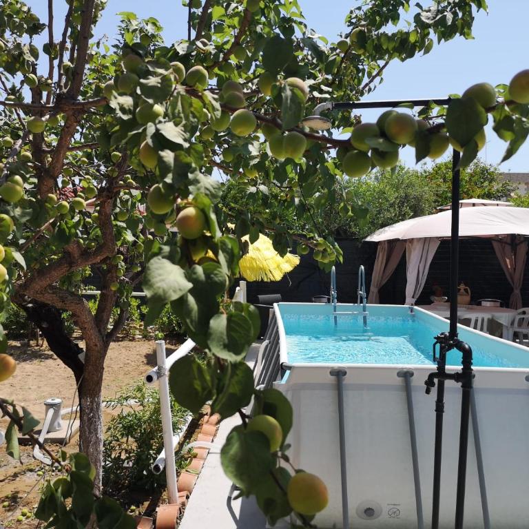 villa mina con vasca idromassaggio - Vacation Home - 19