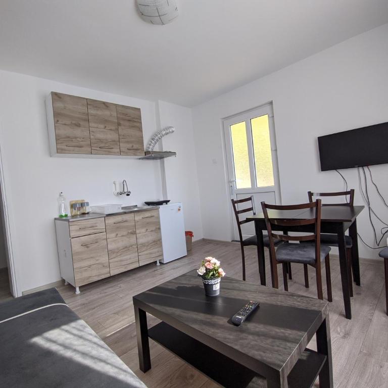 Apartman IKA Sokobanja - Apartman sa 1 Spavaćom Sobom - 3