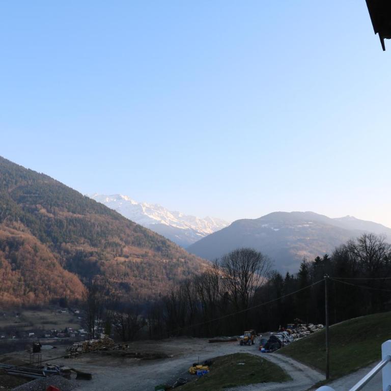 maison du haut de FREYDON ambiance Montagne - Appartement 2 Chambres - 37