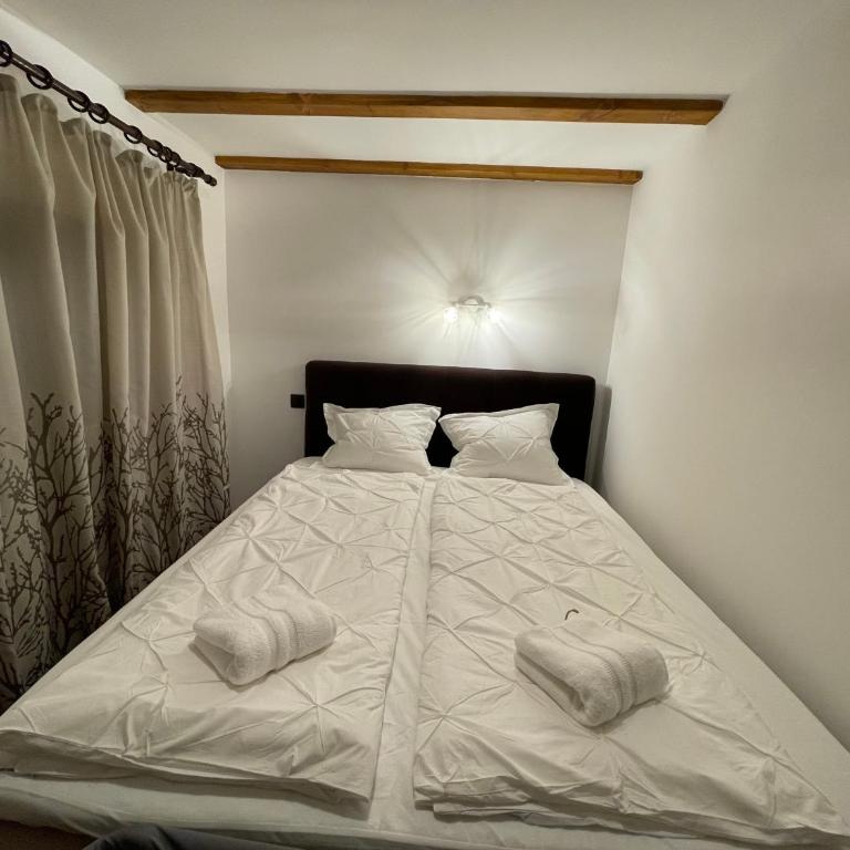 Forest House Divcibare - Vila sa 2 Spavaće Sobe - 21