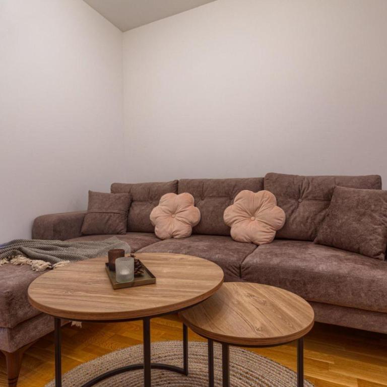 Apartman Mijailovic Zlatibor - Apartman sa 1 Spavaćom Sobom - 5