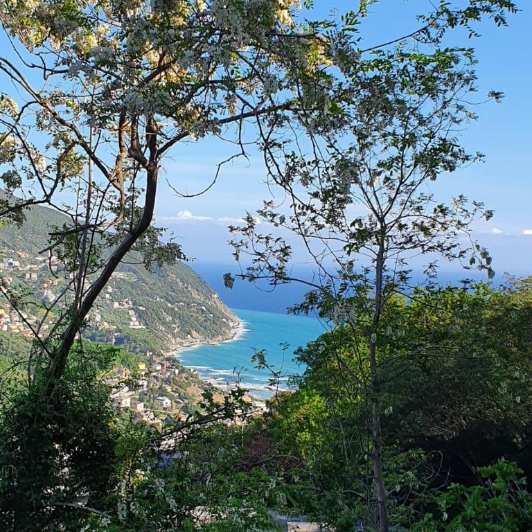 Cà Zelinda House Holiday - Appartamento con 2 Camere da Letto - 36