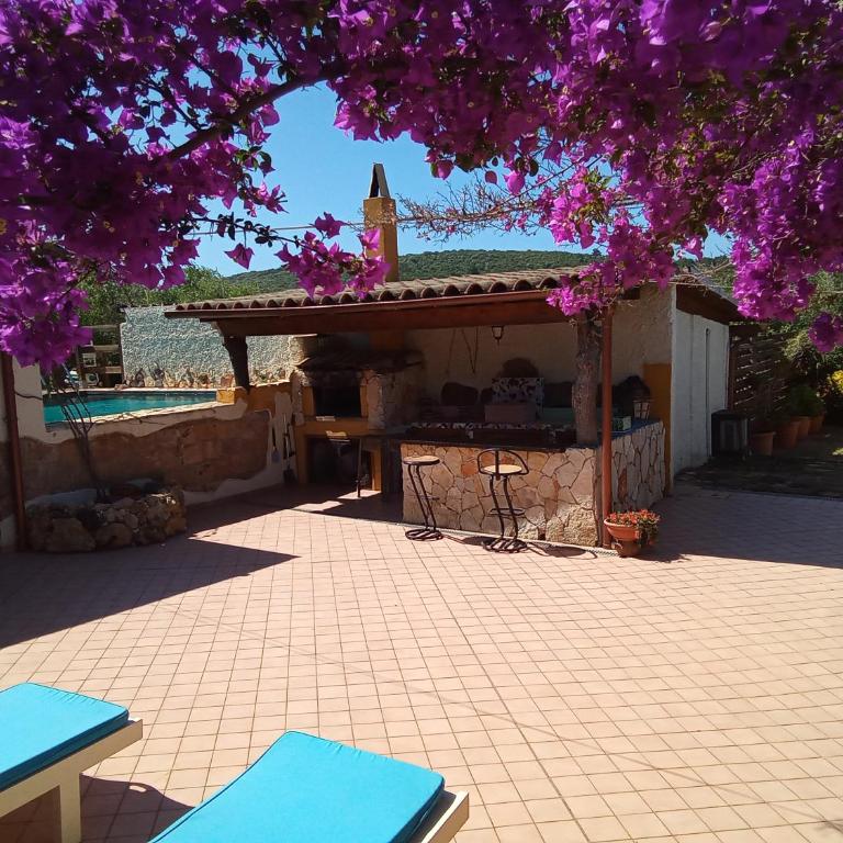 Coral Riviera Sardinia villa & cottage - Villa con Piscina Privata - 5