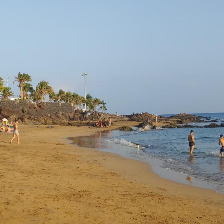 Los Arbustos - One-Bedroom Apartment - 29