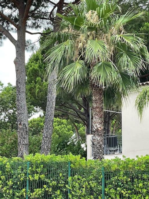 CASA RAMA ST Tropez - Apartment mit 2 Schlafzimmern - 11