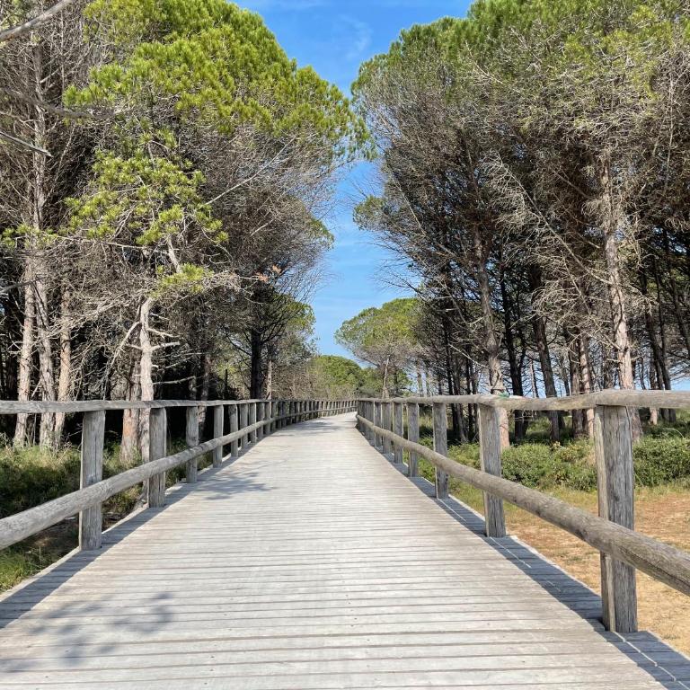 Malibu Apartments - Appartamento con 1 Camera da Letto - 5