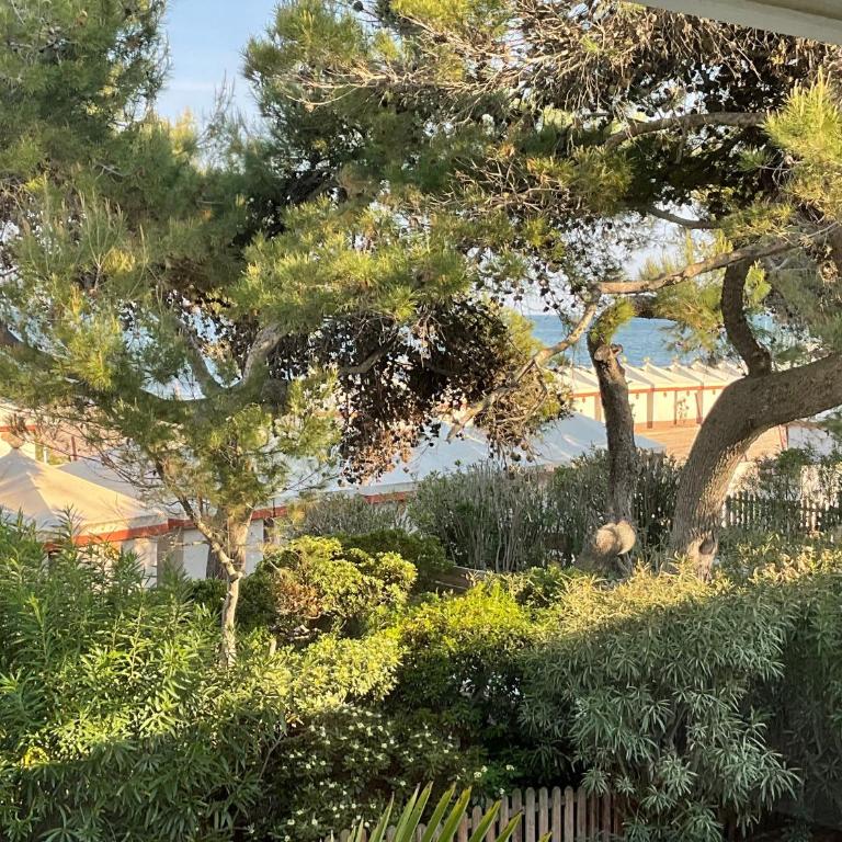 Aquamar Suite on the beach by Venicescape - Apartamento de 1 dormitorio - 27