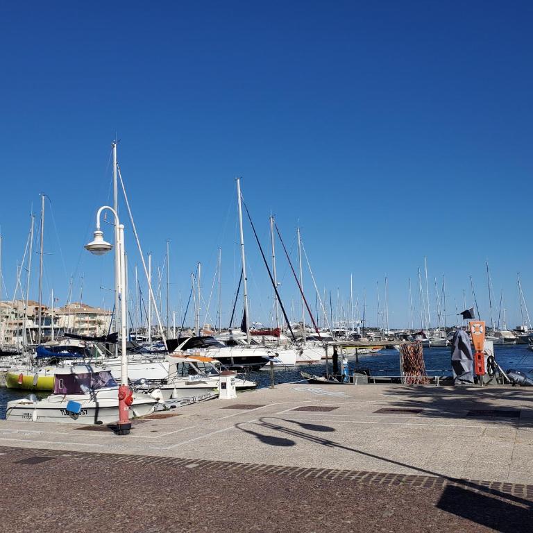 Port FREJUS Rives Latines Studio Cabine 30 m2 4 Pe - Estudio con balcón - 6