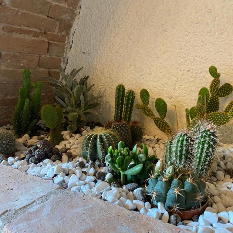 Cactus Suite - Appartamento con 2 Camere da Letto - 5