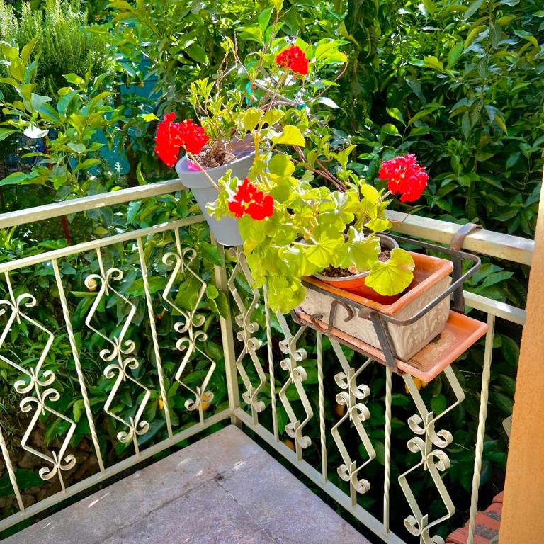 La Fontanella Apartment - Appartamento con Terrazza - 8