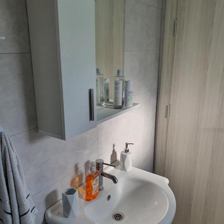 Apartman Tolosi 2 - Apartman sa 1 Spavaćom Sobom - 19