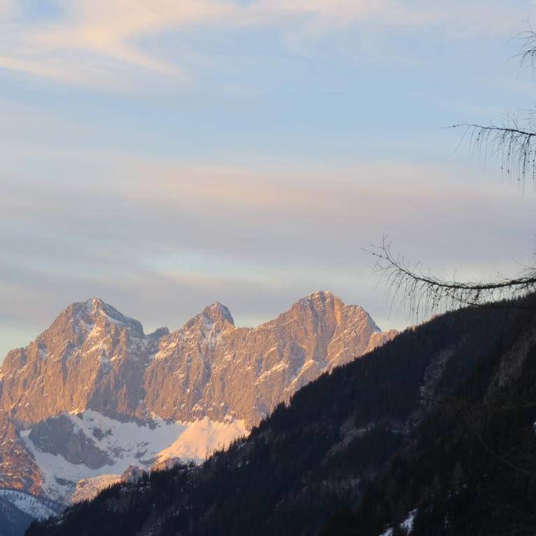 Sportpension Alpenrose - Apartment mit 1 Schlafzimmer und Balkon - 11