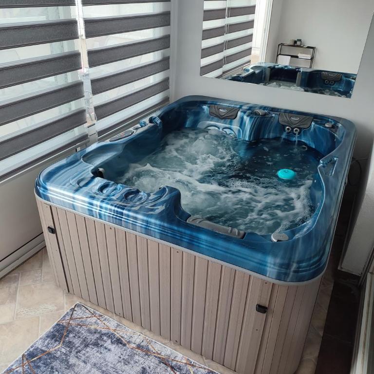 Spa apartman Iva - Deluks Apartman - 5