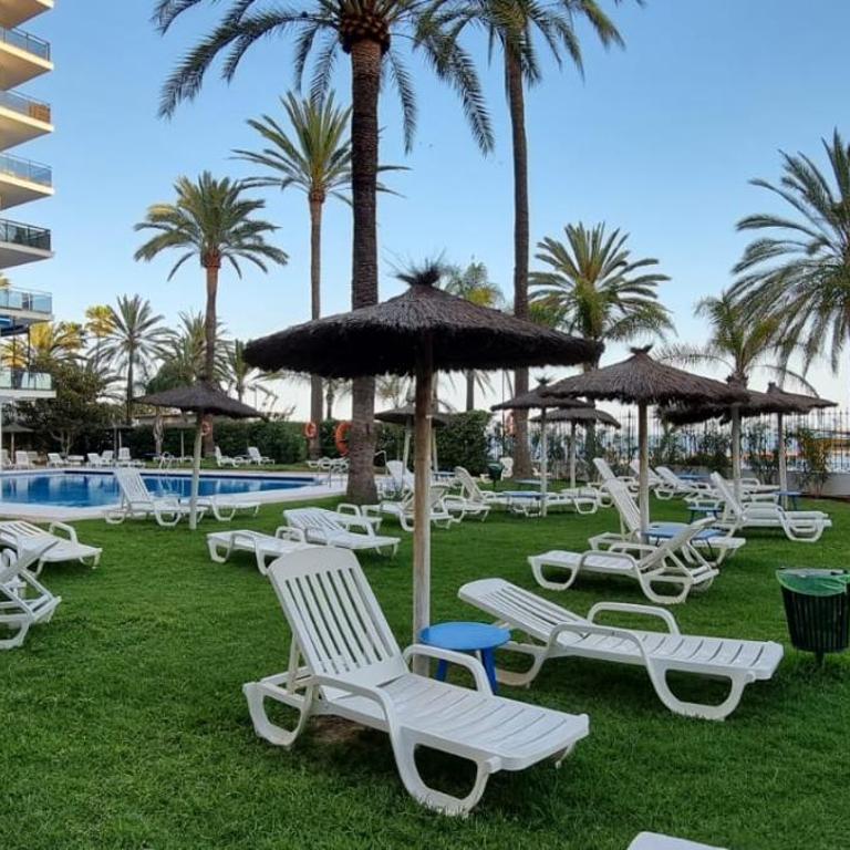 Marbella skol - Apartamento de 1 dormitorio - 5