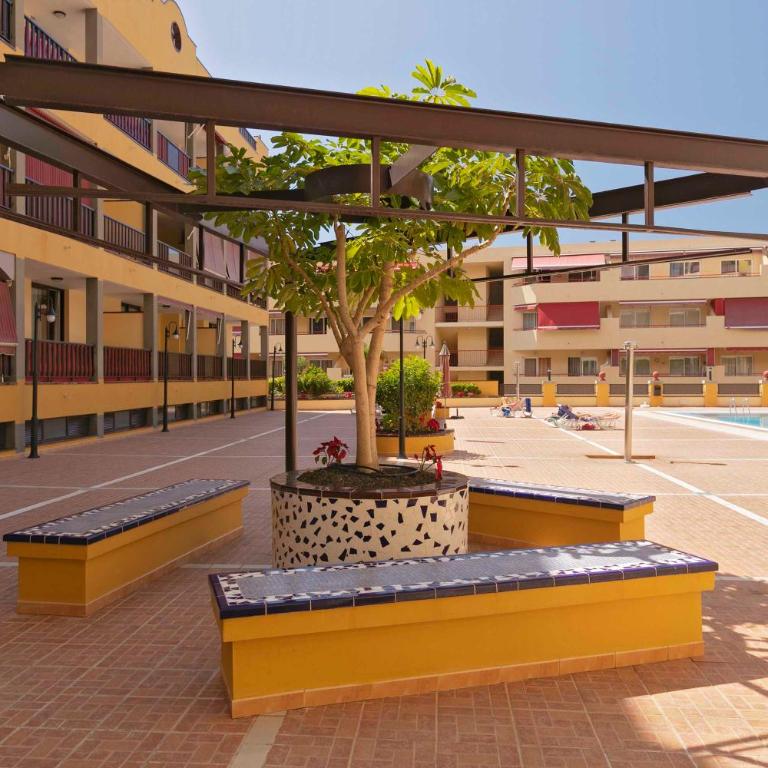 Céntrico apartamento primera linea del mar - Apartamento de 1 dormitorio - 28