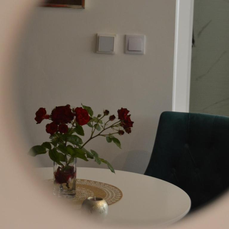 SARAJEVO Tower 21 NEW AND UNIQUE - Apartman sa 1 Spavaćom Sobom - 52