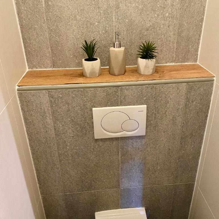 Le REFUGE DES PORTES DU MONT BLANC - Appartement 1 Chambre - 17
