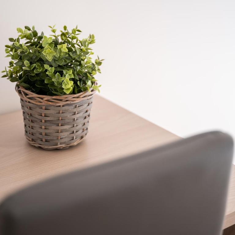 Historic Center New Apartment - Catania Stays - Appartamento con 3 Camere da Letto - 25