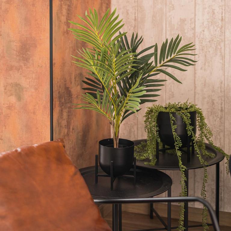 Boutique La Gloria 1908 by Expoholidays - Apartamento Ático - 2