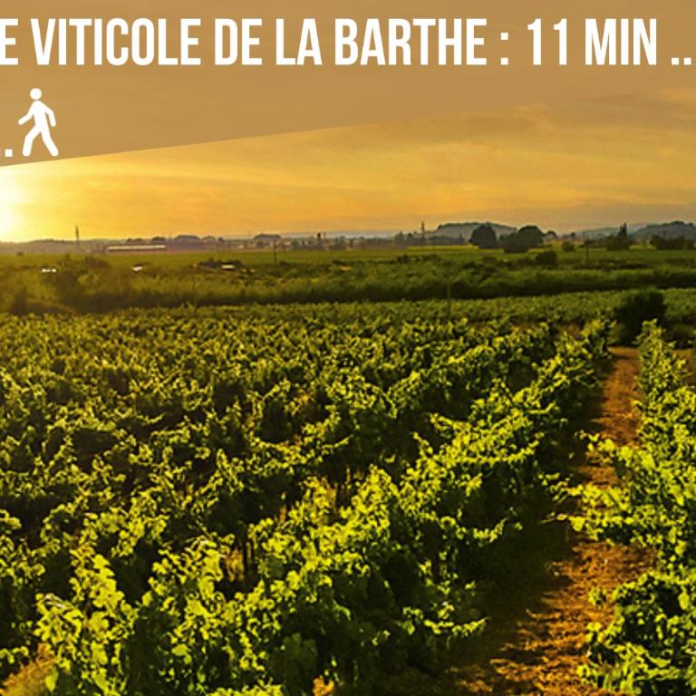 Centre Historique- FREE Parking-WIFI-CAMPAGNE CHIC- SLEEPNTRIPBEZIERS - Apartment mit 3 Schlafzimmern - 38