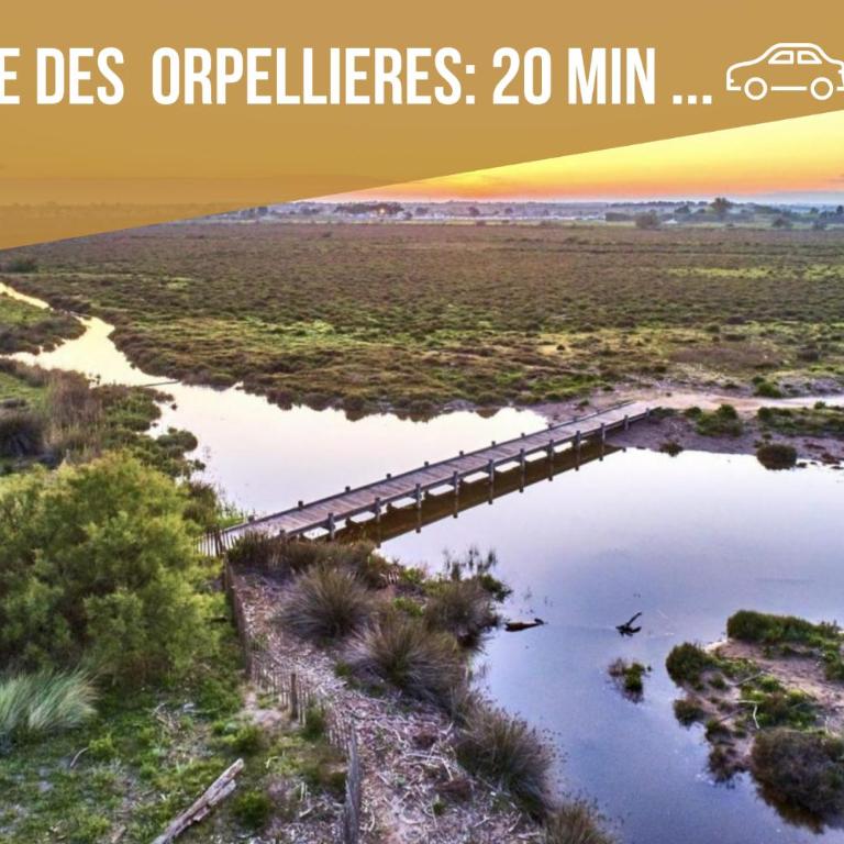 Centre Historique- FREE Parking-WIFI-CAMPAGNE CHIC- SLEEPNTRIPBEZIERS - Apartment mit 3 Schlafzimmern - 40