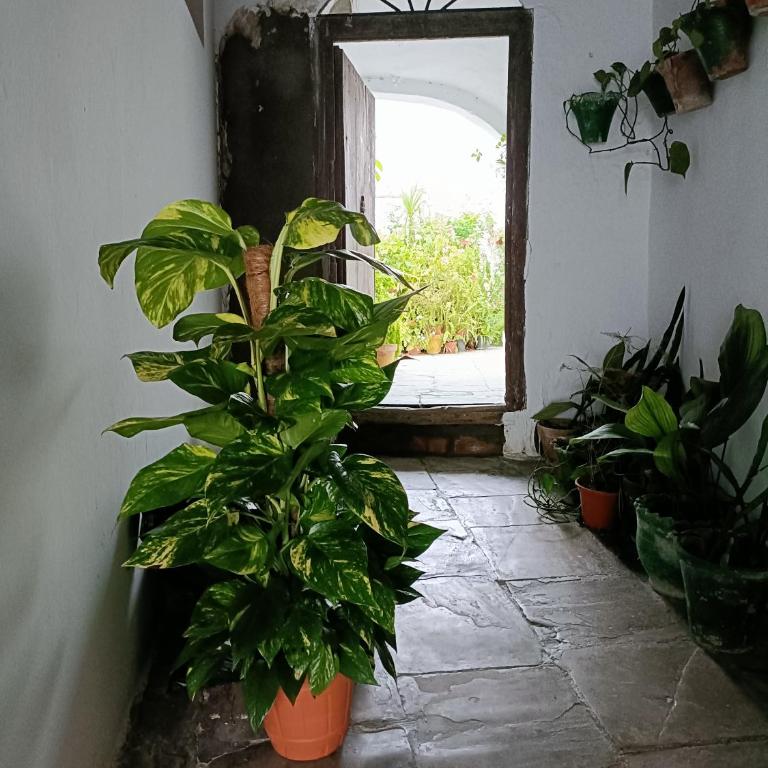 Casa AMALFi, Coqueta casa Centro histórico de Vejer - Apartamento de 2 dormitorios - 23