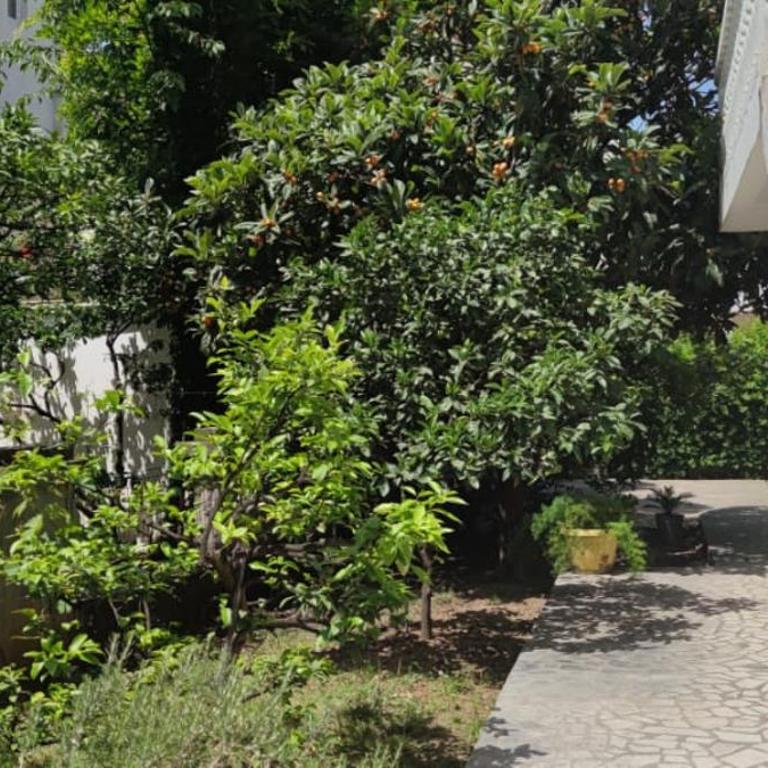 House Irena - Deluks Soba s Bračnim Krevetom i Pomoćnim Ležajem - 8