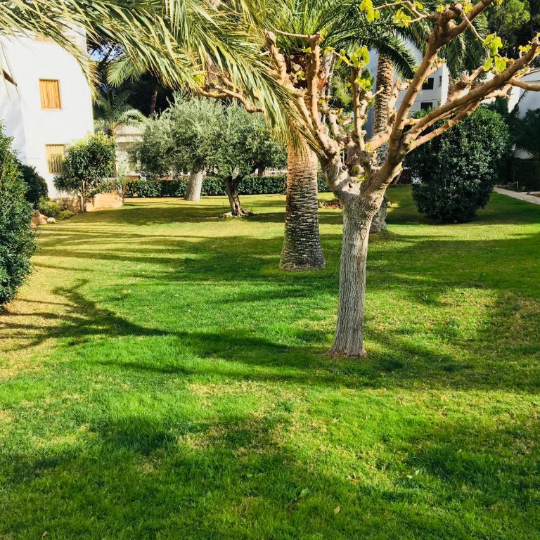 Apartamentos Tres Carabelas Altamar - Apartamento de 1 dormitorio - 3