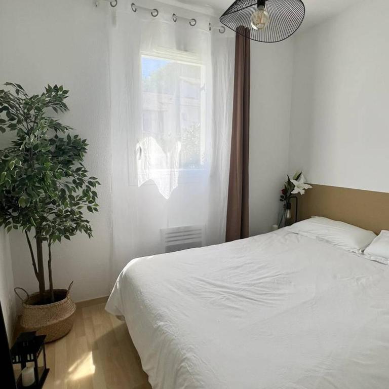 T1 bis confortable avec terrasse et parking à Cambo-les-Bains - Appartement 1 Chambre - 5