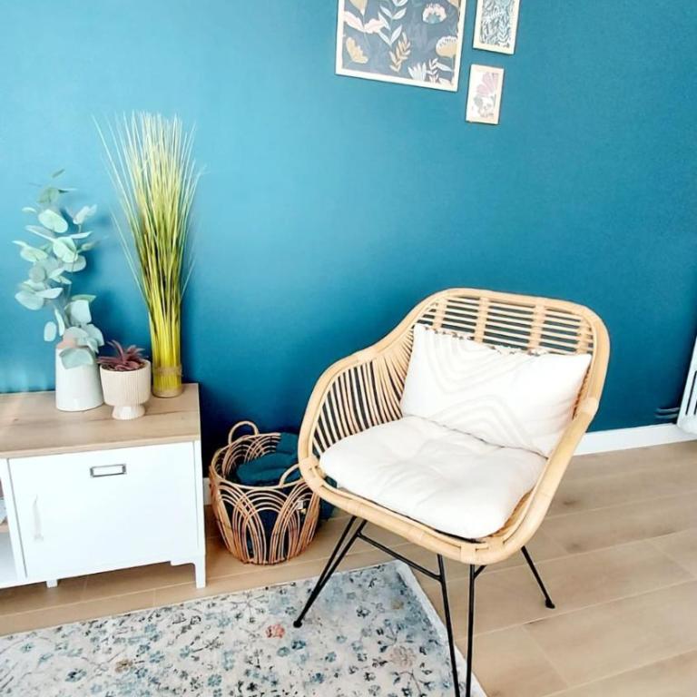 Cosy Jasmin - T4 - Centre - Balcon traversant - Appartement 3 Chambres - 17