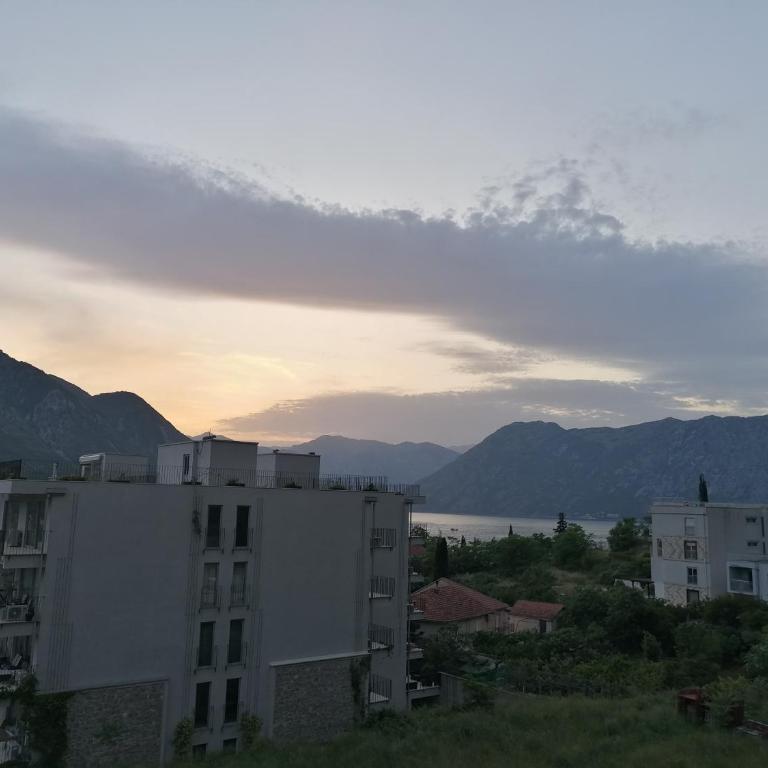 Villa Milla KOTOR - Apartman sa 1 Spavaćom Sobom - 15