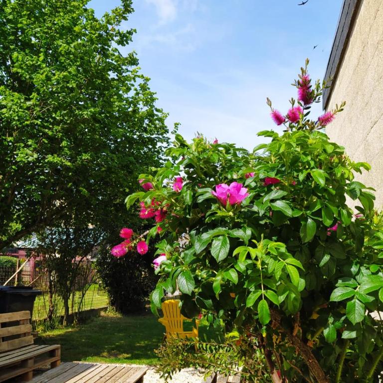 Maison Chic & charme Calme avec Jardin - Maison de Ville 3 Chambres - 15