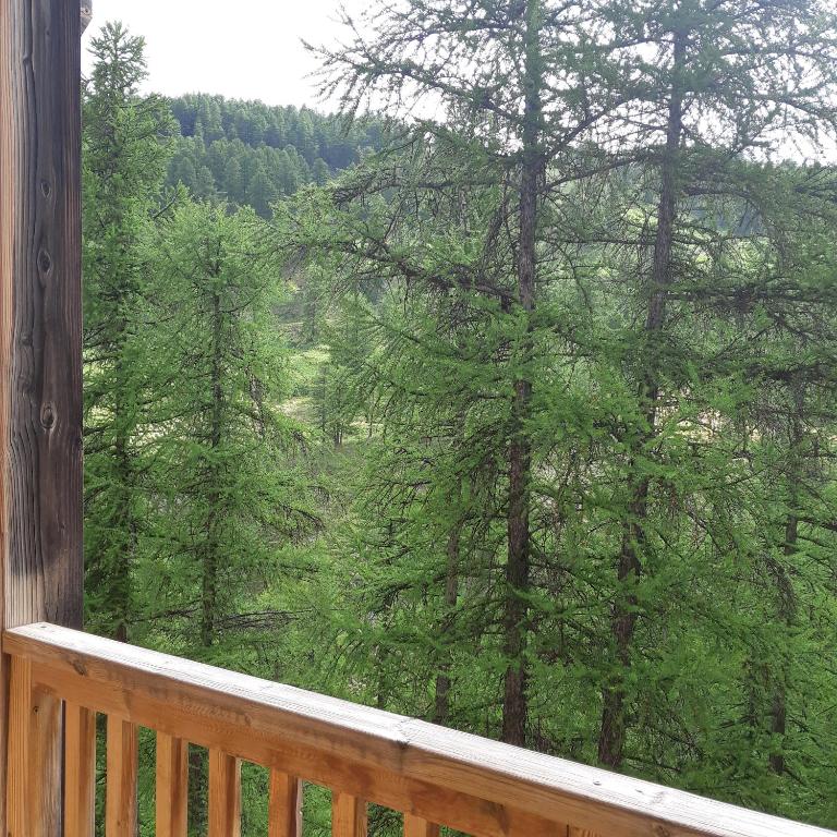 Spacieux et Fonctionnel dans Ecrin des Neiges - Appartement 2 Chambres - 28