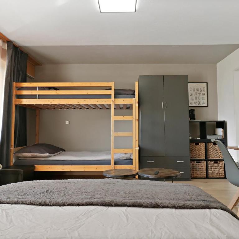 Nouveau studio avec vue imprenable sur la vallée - Apartment mit 1 Schlafzimmer - 11
