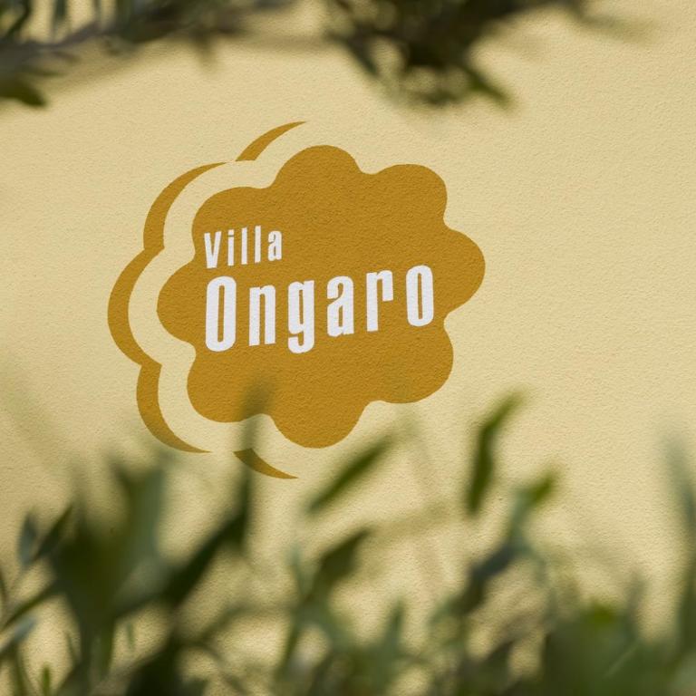 Villa Ongaro 2 - Monolocale - 2