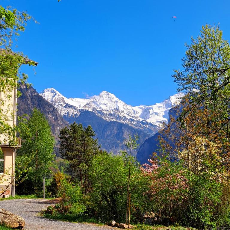 Sawasdee Swiss Chalet Wilderswil - Apartment mit 3 Schlafzimmern - 39